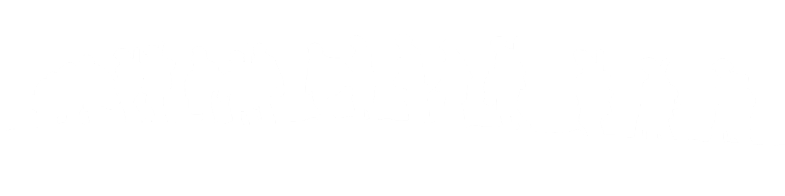 военное прошлое